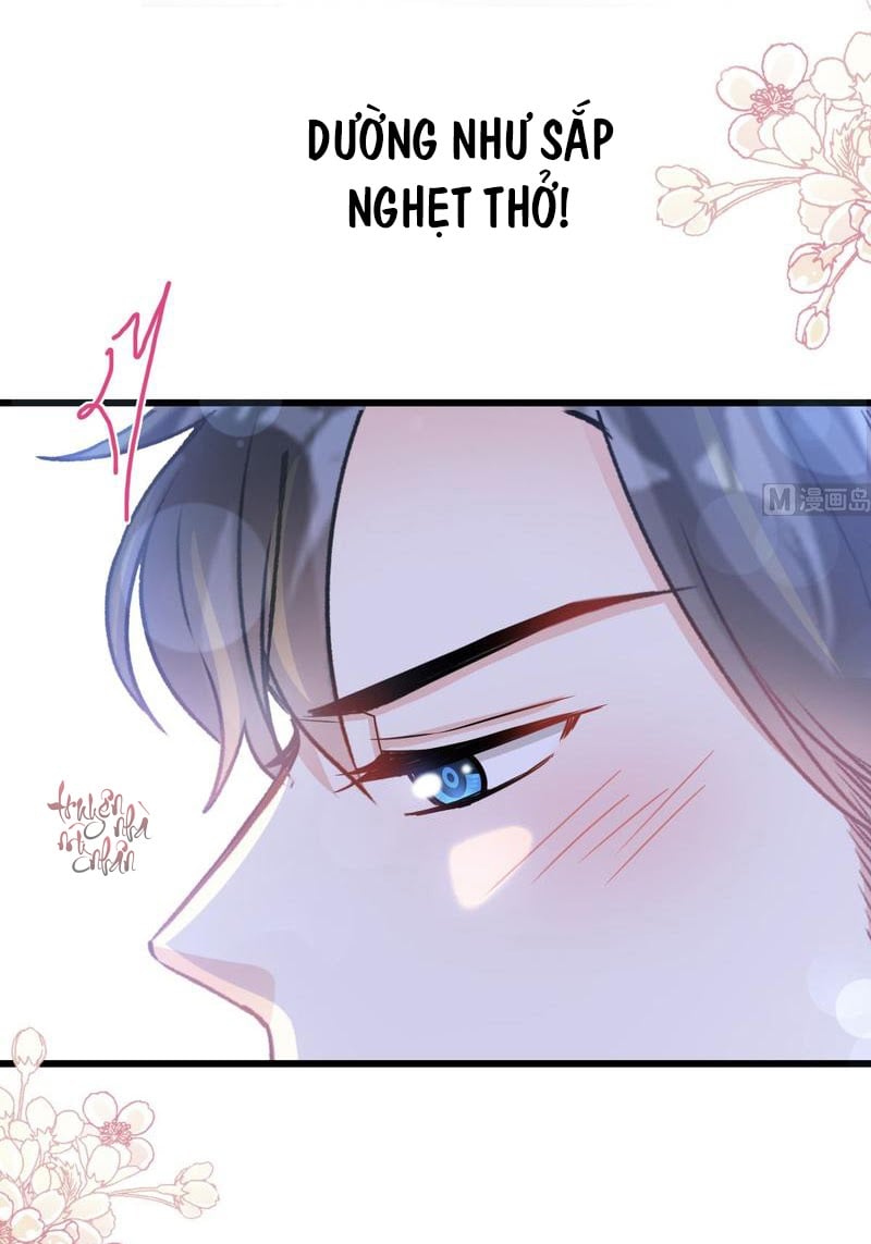 Bá Đạo Tổng Tài Nhẹ Nhàng Yêu Chapter 89 - Next Chapter 90