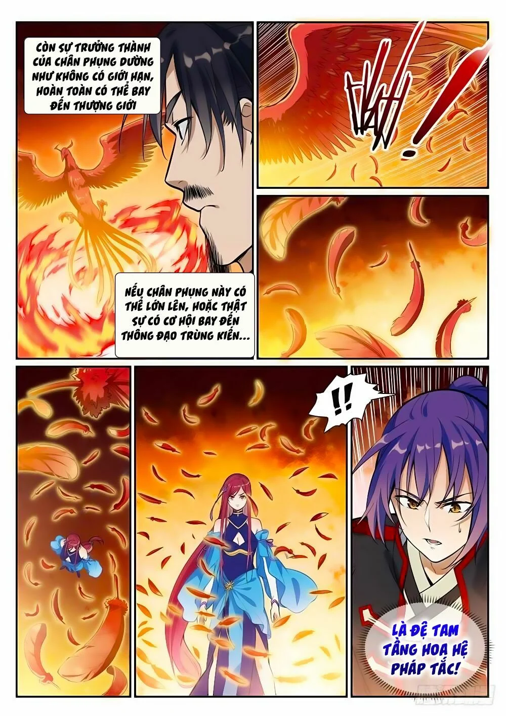 bách luyện thành thần Chapter 387 - Next chapter 388