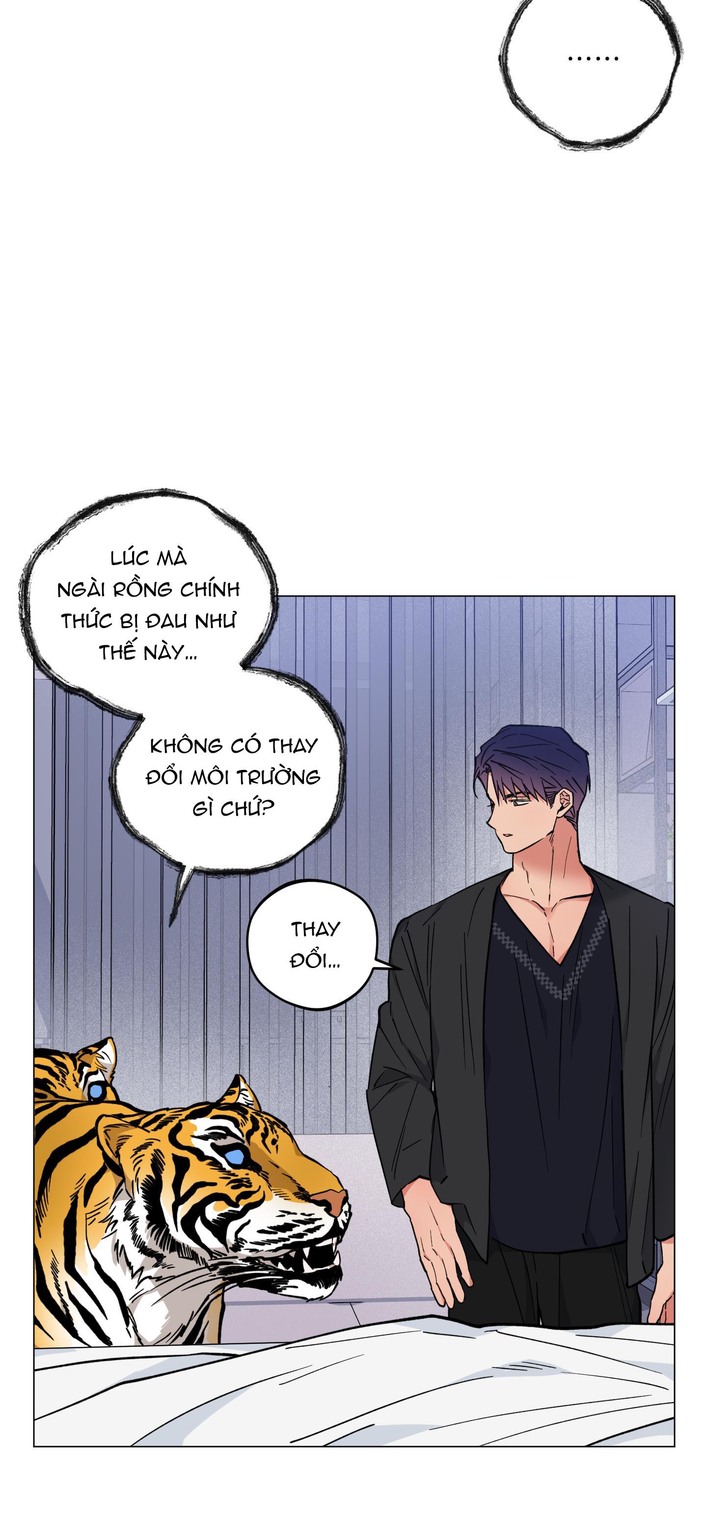 BÌNH MINH CỦA RỒNG Chapter 24 - Next Chapter 25