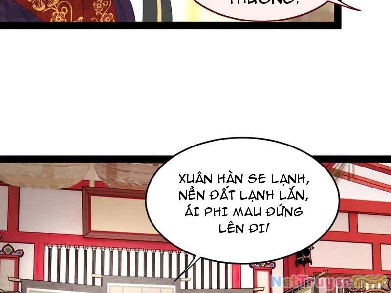 Chàng Rể Mạnh Nhất Lịch Sử Chapter 199 - Trang 3