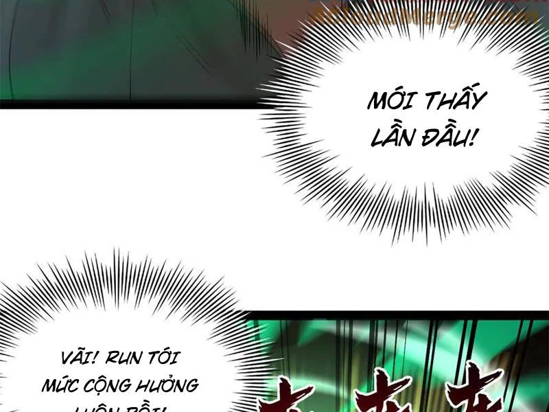 Chàng Rể Mạnh Nhất Lịch Sử Chapter 217 - Trang 4