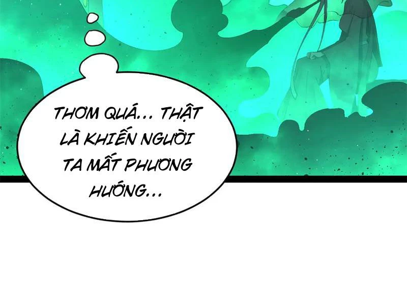 Chàng Rể Mạnh Nhất Lịch Sử Chapter 217 - Trang 4