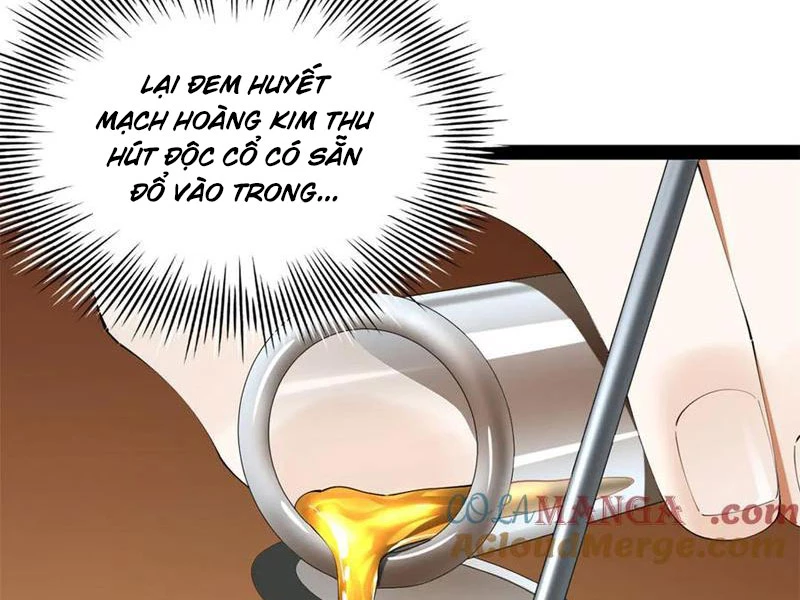 Chàng Rể Mạnh Nhất Lịch Sử Chapter 223 - Trang 4