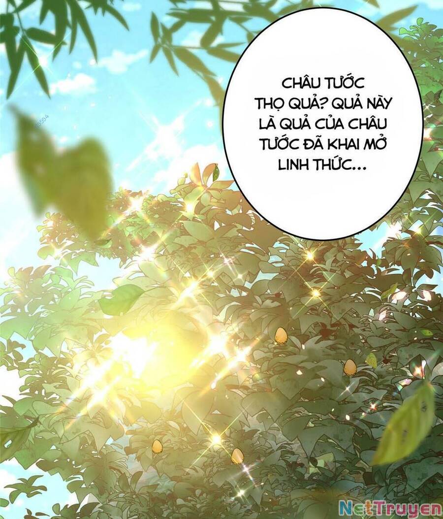 chưởng môn khiêm tốn chút Chapter 183 - Next chapter 184