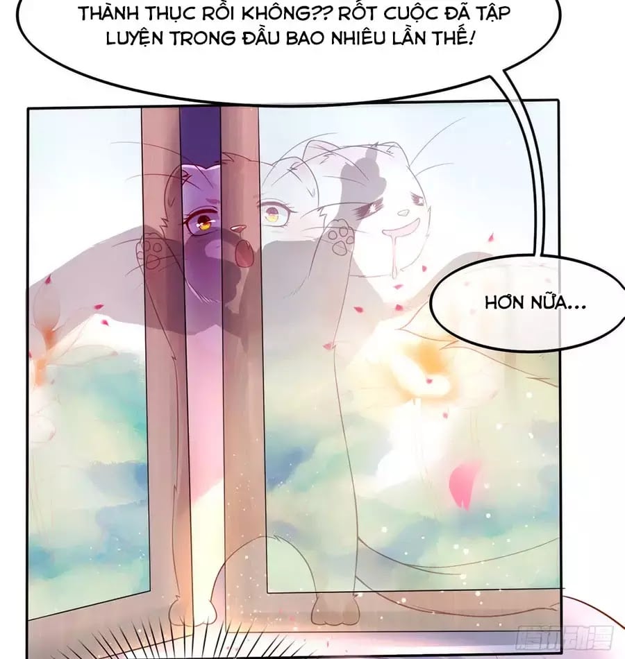 Dưỡng Thú Làm Phi Chapter 1 - Next Chapter 2