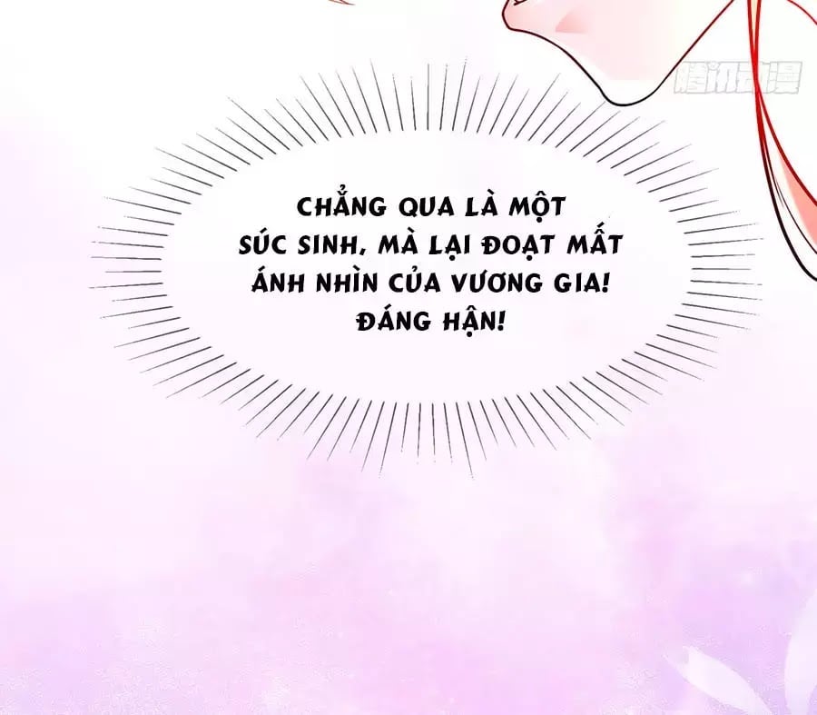 Dưỡng Thú Làm Phi Chapter 1 - Next Chapter 2