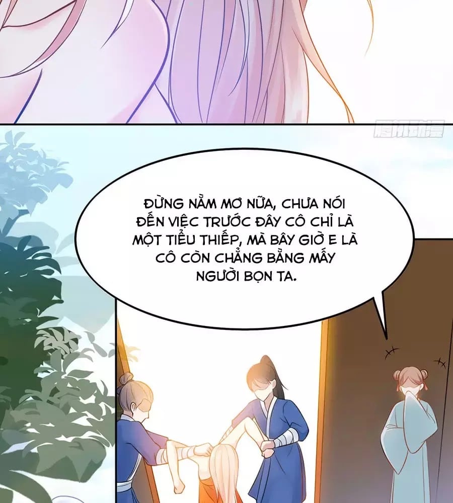 Dưỡng Thú Làm Phi Chapter 1 - Next Chapter 2