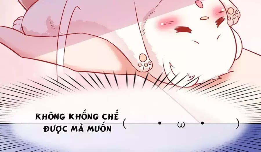 Dưỡng Thú Làm Phi Chapter 1 - Next Chapter 2