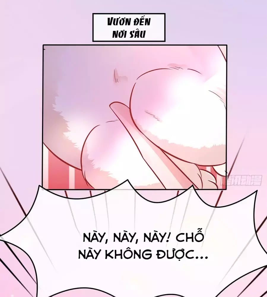 Dưỡng Thú Làm Phi Chapter 1 - Next Chapter 2