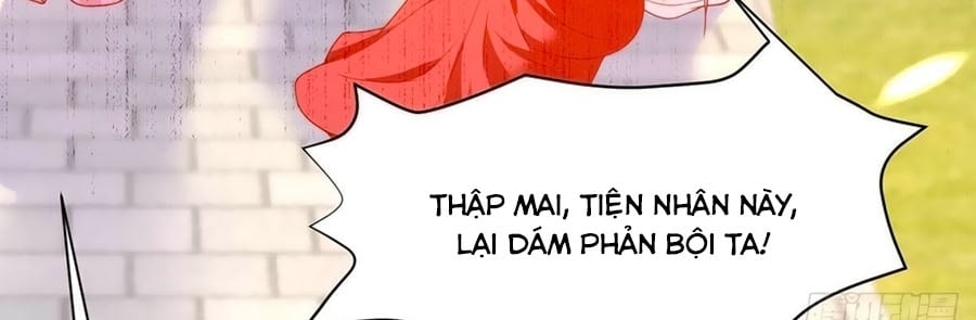 Dưỡng Thú Làm Phi Chapter 14 - Next Chapter 15