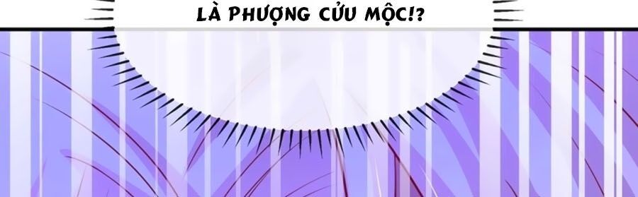 Dưỡng Thú Làm Phi Chapter 16 - Next Chapter 17