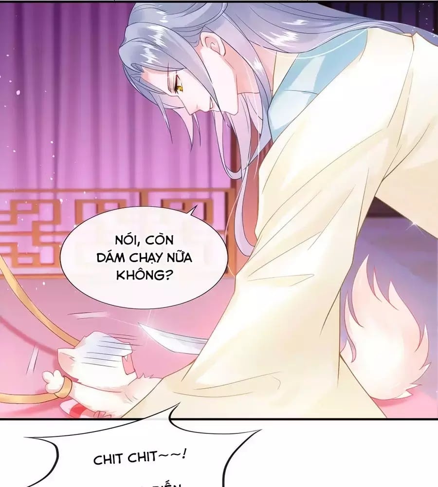 Dưỡng Thú Làm Phi Chapter 3 - Next Chapter 4