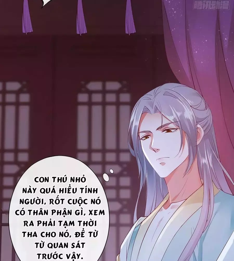 Dưỡng Thú Làm Phi Chapter 3 - Next Chapter 4