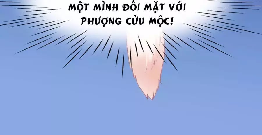 Dưỡng Thú Làm Phi Chapter 4 - Next Chapter 5