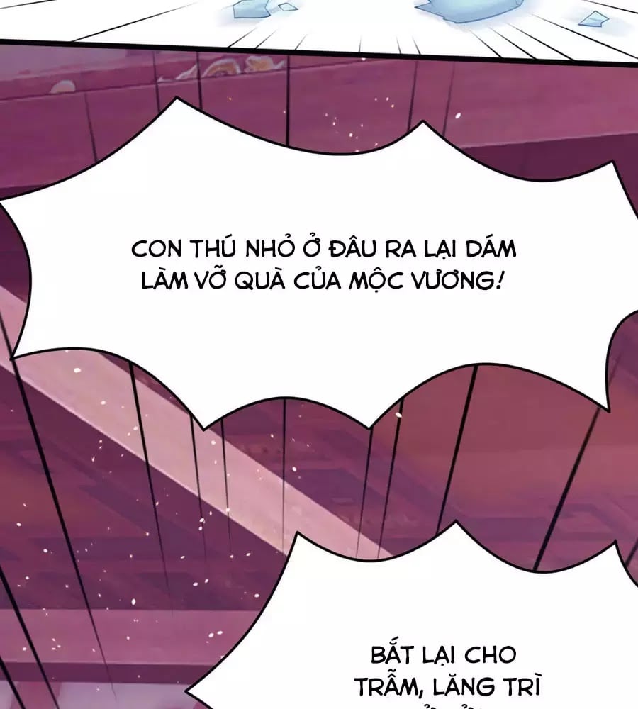 Dưỡng Thú Làm Phi Chapter 4 - Next Chapter 5