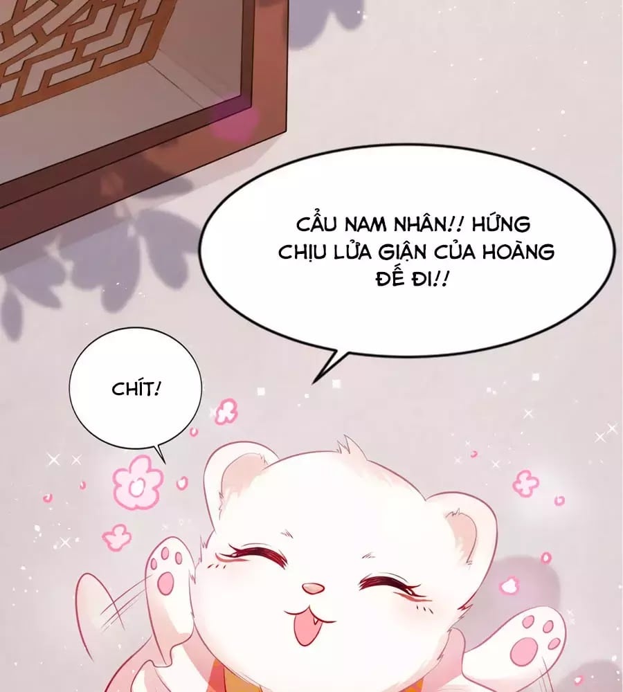 Dưỡng Thú Làm Phi Chapter 4 - Next Chapter 5