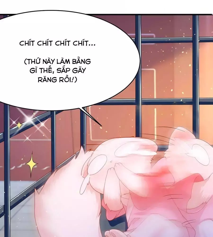 Dưỡng Thú Làm Phi Chapter 6 - Next Chapter 7