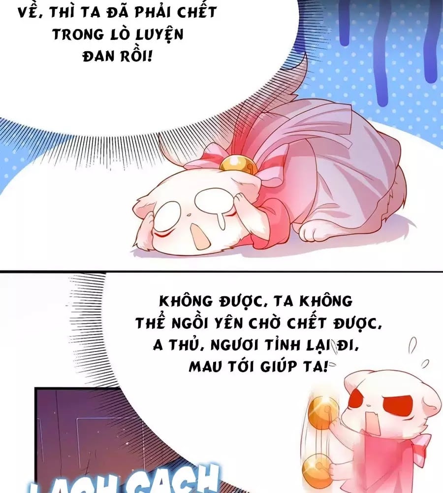 Dưỡng Thú Làm Phi Chapter 6 - Next Chapter 7