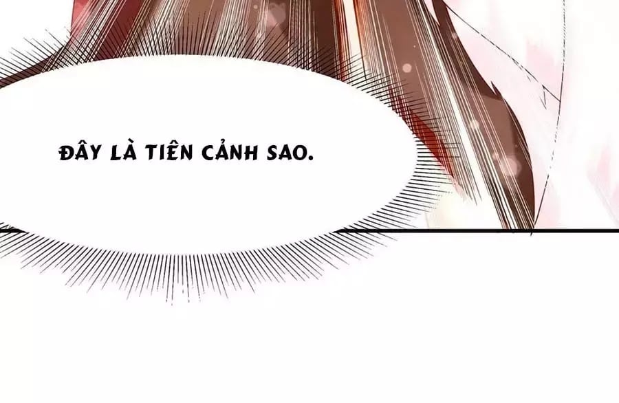 Dưỡng Thú Làm Phi Chapter 6 - Next Chapter 7