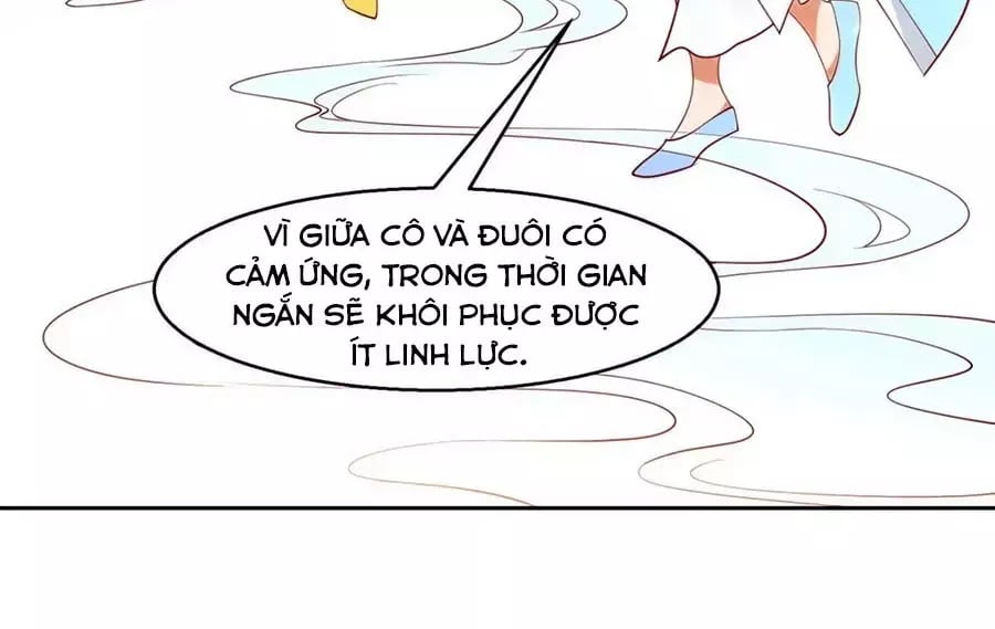 Dưỡng Thú Làm Phi Chapter 7 - Next Chapter 8