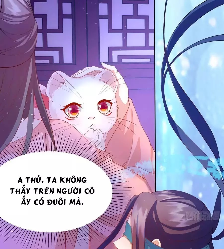 Dưỡng Thú Làm Phi Chapter 8 - Next Chapter 9