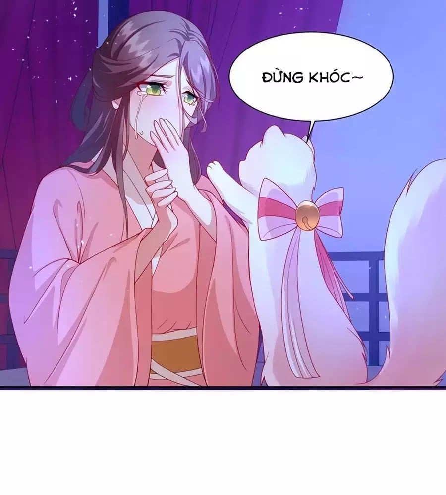 Dưỡng Thú Làm Phi Chapter 8 - Next Chapter 9