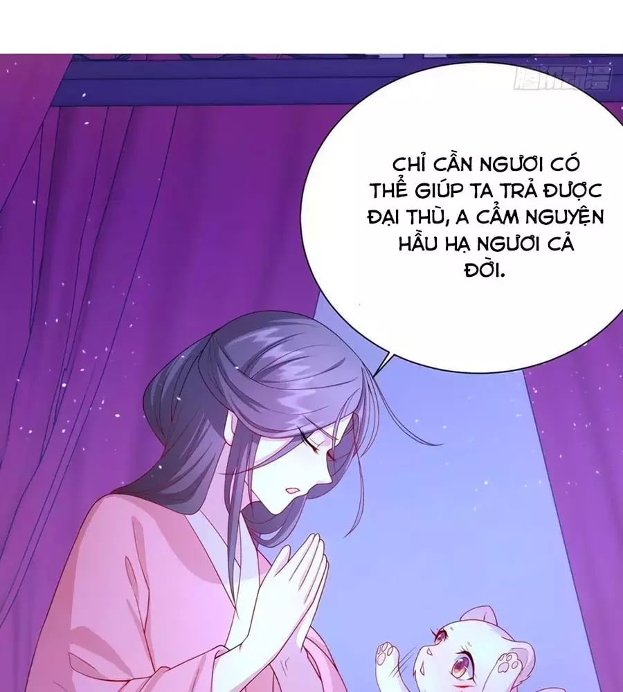 Dưỡng Thú Làm Phi Chapter 8 - Next Chapter 9