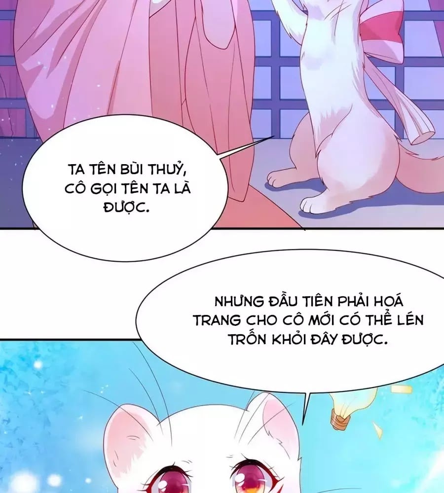 Dưỡng Thú Làm Phi Chapter 8 - Next Chapter 9