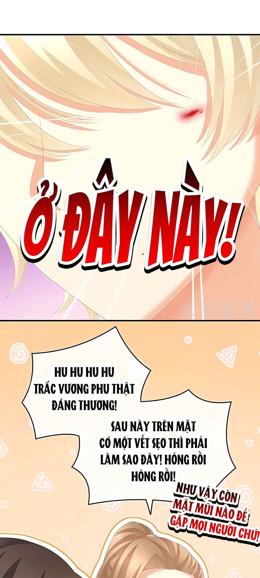 Hậu Cung Của Nữ Đế Chapter 224 - Next Chapter 225