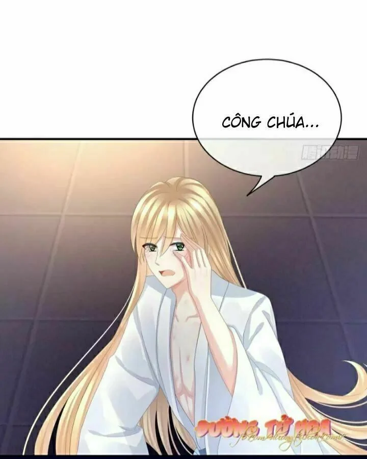 Hậu Cung Của Nữ Đế Chapter 48 - Next Chapter 49