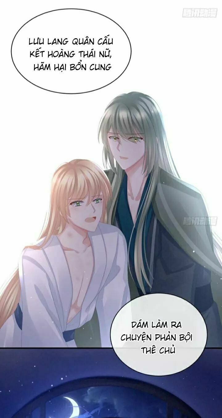 Hậu Cung Của Nữ Đế Chapter 48 - Next Chapter 49