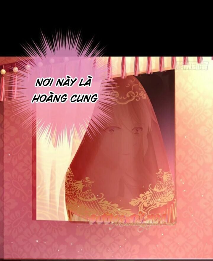 Hậu Cung Của Nữ Đế Chapter 52 - Next Chapter 53