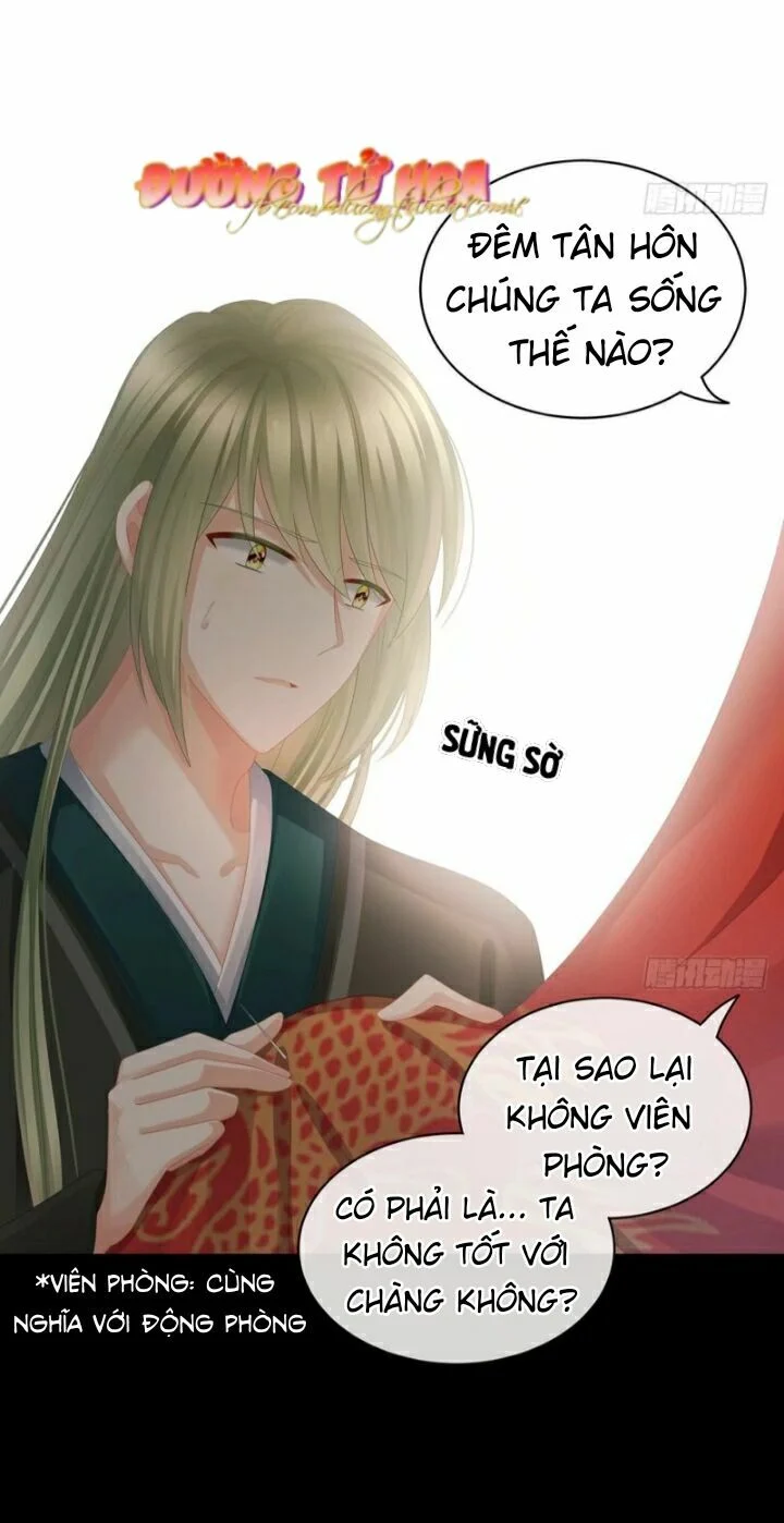 Hậu Cung Của Nữ Đế Chapter 52 - Next Chapter 53