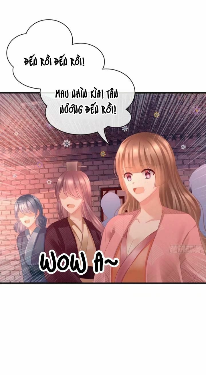 Hậu Cung Của Nữ Đế Chapter 53 - Next Chapter 54