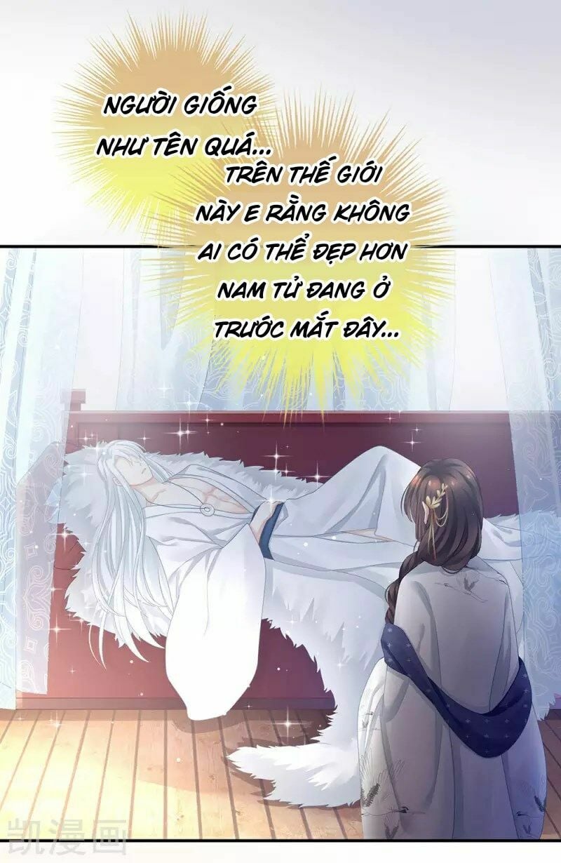 Hậu Cung Của Nữ Đế Chapter 71 - Next Chapter 72