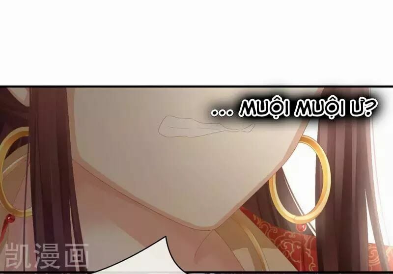 Hậu Cung Của Nữ Đế Chapter 75 - Next Chapter 76