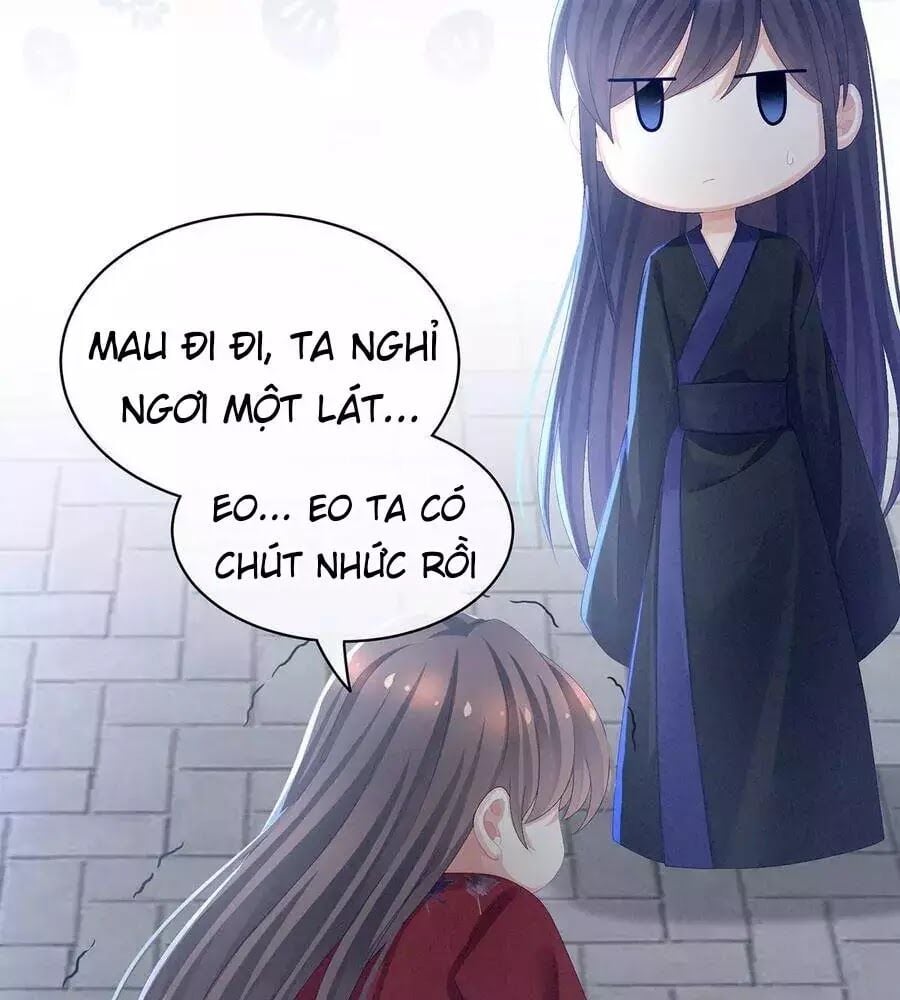 Hậu Cung Của Nữ Đế Chapter 82 - Next Chapter 83