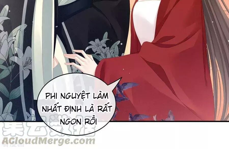 Hậu Cung Của Nữ Đế Chapter 82 - Next Chapter 83