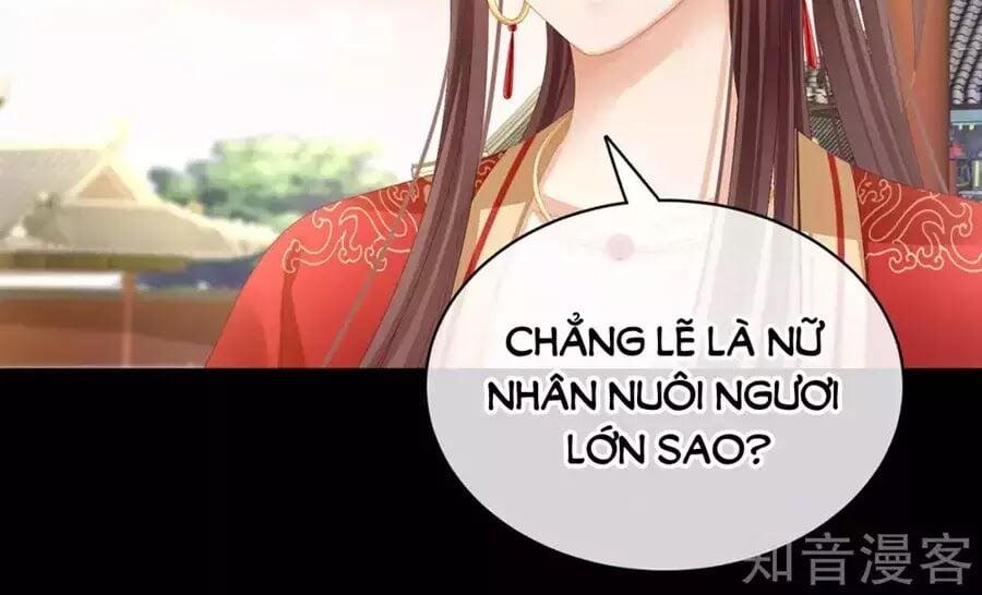 Hậu Cung Của Nữ Đế Chapter 84 - Next Chapter 85