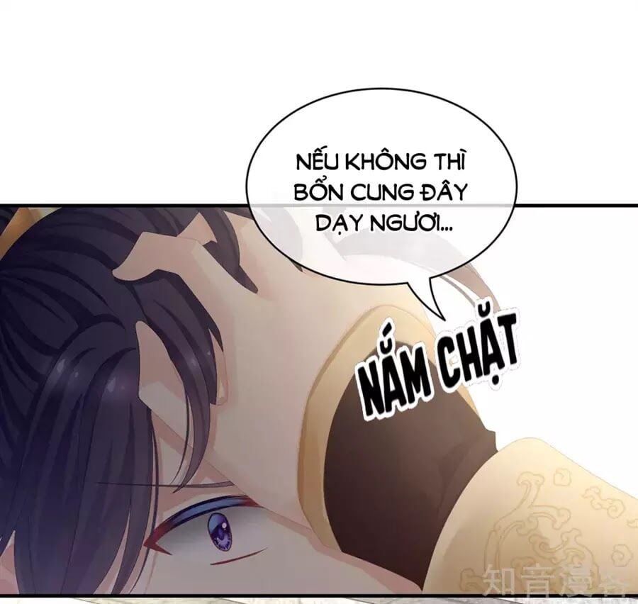 Hậu Cung Của Nữ Đế Chapter 84 - Next Chapter 85