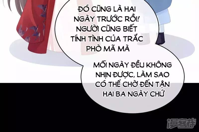 Hậu Cung Của Nữ Đế Chapter 86 - Next Chapter 87