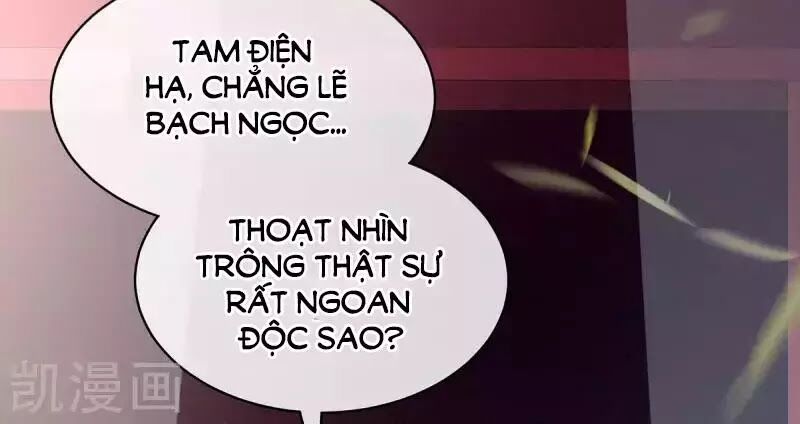 Hậu Cung Của Nữ Đế Chapter 88 - Next Chapter 89