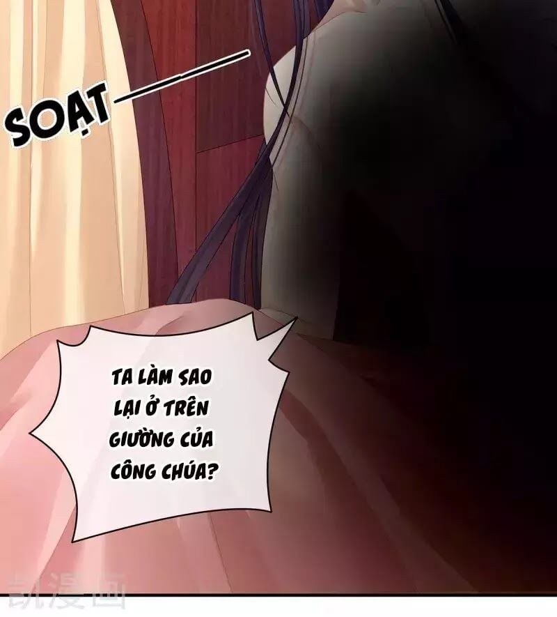 Hậu Cung Của Nữ Đế Chapter 95 - Next Chapter 96