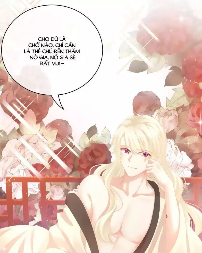 Hậu Cung Của Nữ Đế Chapter 97 - Next Chapter 98