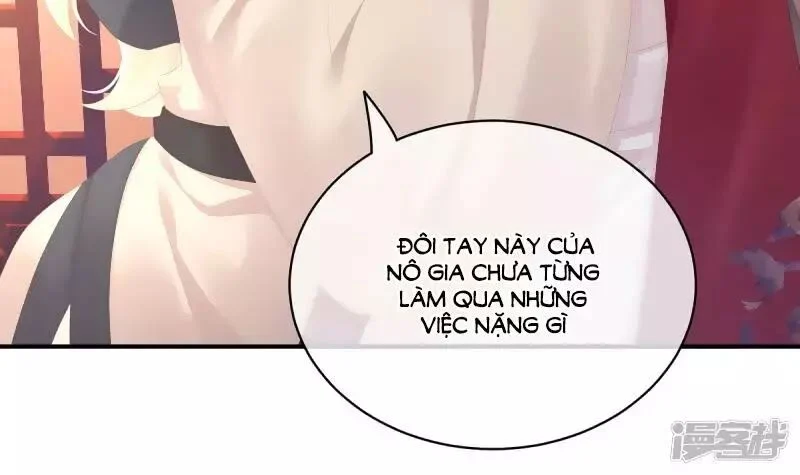 Hậu Cung Của Nữ Đế Chapter 97 - Next Chapter 98