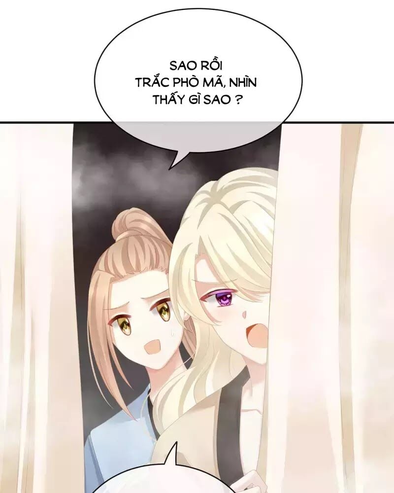 Hậu Cung Của Nữ Đế Chapter 99 - Next Chapter 100