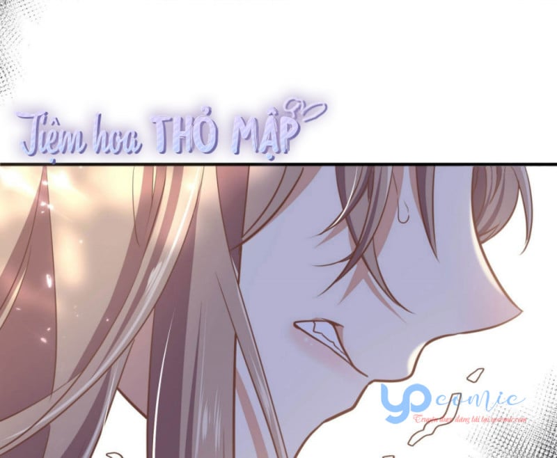 Hậu Cung Của Nữ Phụ Phản Diện Chapter 3.5 - Next Chapter 4