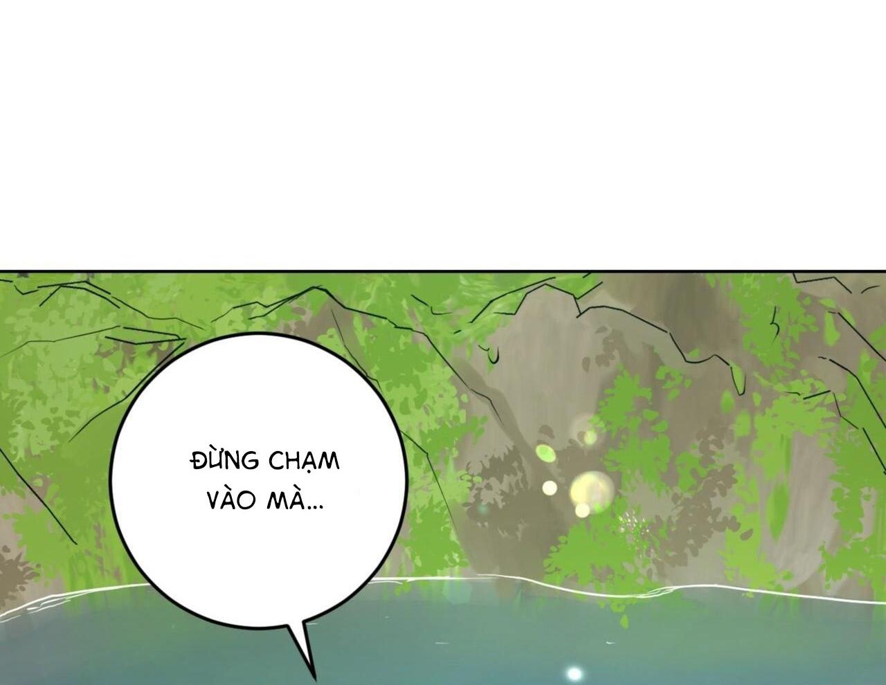 Khu Rừng Tĩnh Lặng Chapter 11 - Next Chapter 12