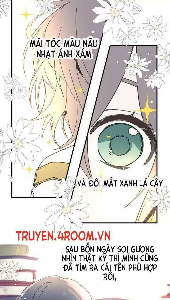 Lời Thú Nhận Nhầm Lẫn Chapter 5 - Next Chapter 6