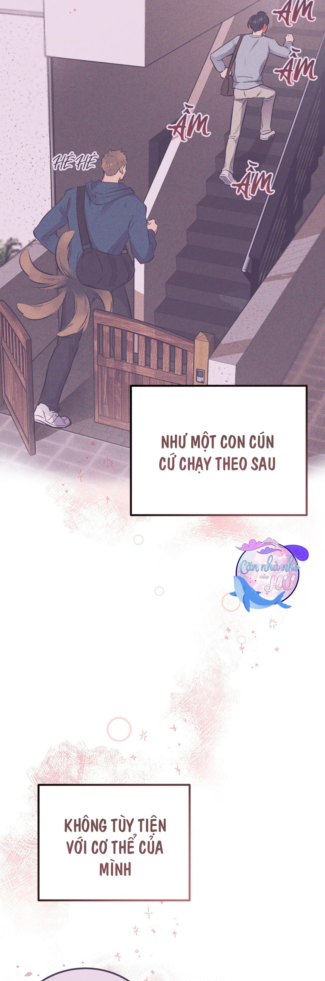 MẬT GẤU Chapter 24 - Next Chapter 25